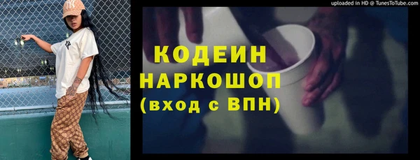 стаф Арсеньев