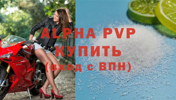 стафф Аркадак
