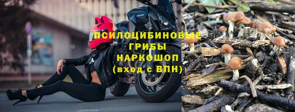 стаф Арсеньев