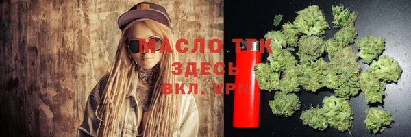 стаф Арсеньев
