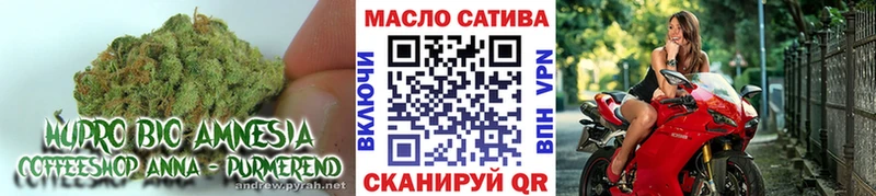 цена наркотик  нарко площадка какой сайт  Дистиллят ТГК THC oil  Нижний Новгород 
