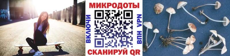 дарнет шоп Нижний Новгород Псилоцибиновые грибы прущие грибы